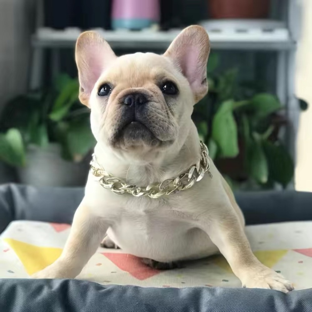 Dog exaggerated‎ necklace